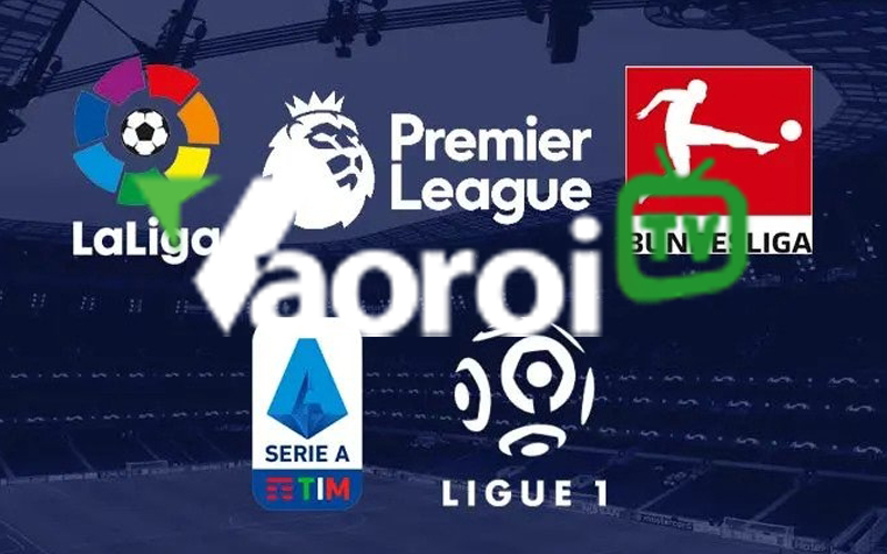 vao-roi-tv-cap-nhat-lich-thi-dau-cho-tat-ca-cac-giai-dau-lon